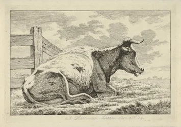 Vaca tumbada junto a una valla Estudios de vacas, ovejas y cabras (título de la serie)