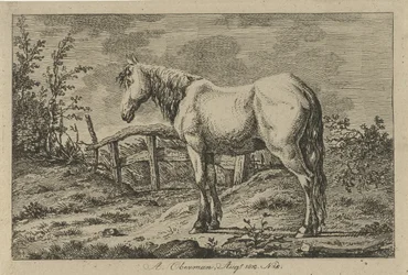 caballo de pie Estudios de vacas, ovejas y cabras (título de la serie)