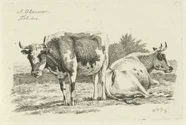 Vaca de pie y tumbada Estudios de vacas, ovejas y cabras (título de la serie)
