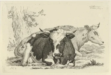 Dos vacas tiradas frente a un árbol Estudios de vacas, ovejas y cabras (título de la serie)