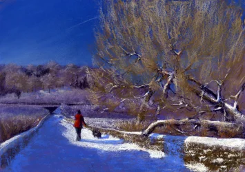 Paseo de invierno, 2012