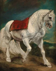 Un caballo andaluz