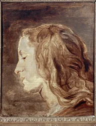 Estudio de cabeza, primera mitad del siglo XVII (óleo sobre tabla)