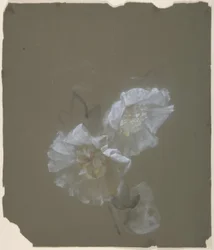 Diseño floral