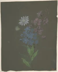 Diseño floral