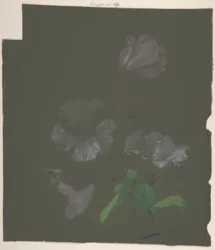 Diseño floral