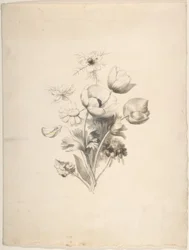 Diseño floral