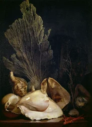 Naturaleza muerta de conchas y coral (óleo sobre lienzo)