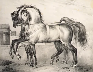 Los caballos montados por Luis Felipe, el Duque de Orleans en la Batalla de Valmy, grabado por Victor Adam c.1834-38