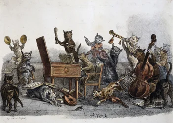 Un concierto de aficionados, caricatura de gatos tocando instrumentos musicales, grabado por Carle Vernet (1758-1836), Francia