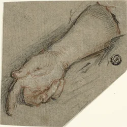Dorso de la mano y antebrazo