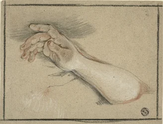 Mano y antebrazo
