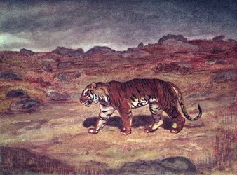 Un tigre cazando a su presa