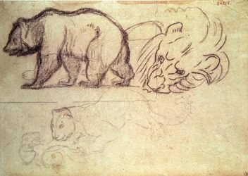 Un oso caminando, la cabeza de un león y un leopardo atacando a un animal