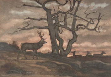 Ciervo y árbol contra el atardecer