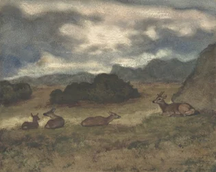 Ciervo en el paisaje