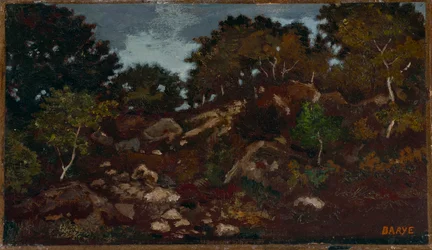 Rocas en el bosque de Fontainebleau