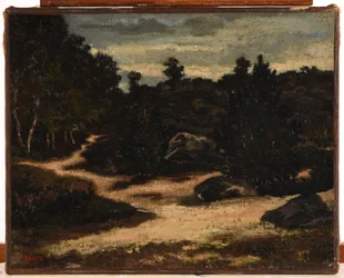 Francés: Chemin sableux en forêt de Fontainebleau