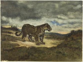 Jaguar de pie