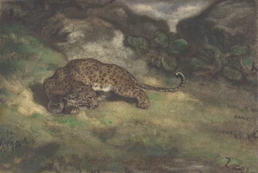 Leopardo y serpiente