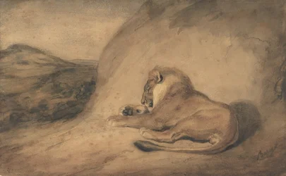 León descansando, 1810-75