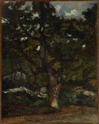 Lote en el Bosque de Fontainebleau