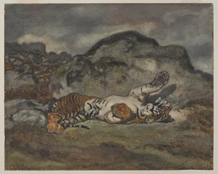 Tigre rodando, c.1840