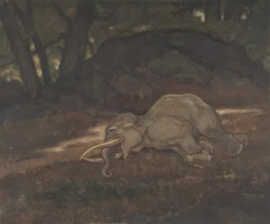 Elefante durmiendo