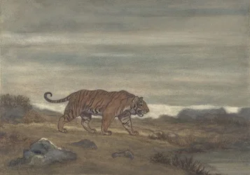 Tigre acercándose a la piscina, 1810-75