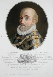 Gaspard de Saulx (1509-73) Señor de Tavanes
