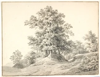 Paisaje con grandes árboles en el Elba. Buxtehude