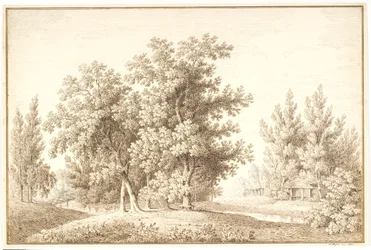 Parque con arroyo y pequeña cabaña