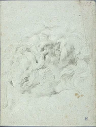 Jefe del Grupo Laocoon