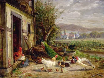 Gallinas, patos y un pavo real junto a un canal