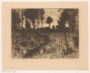 Carretera forestal de noche