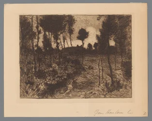Carretera forestal de noche
