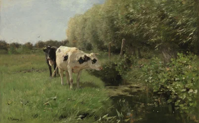 Vacas en el prado