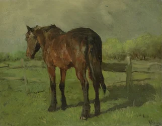 Caballo