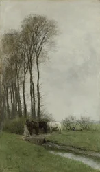 Caballos en la valla