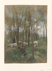 Rebaño de ovejas en un bosque