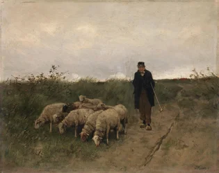Pastor y ovejas