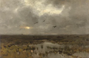 El pantano