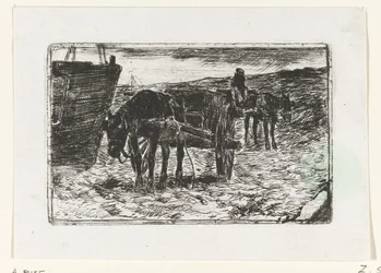 coches en la playa
