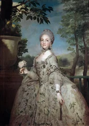 Retrato de María Luisa de Parma, Princesa de Asturias