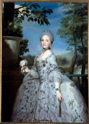 Retrato de María Luisa de Parma, Princesa de Asturias (1751-1819)