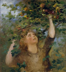 Chica recogiendo manzanas