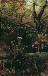 Tala de bosques con cardos