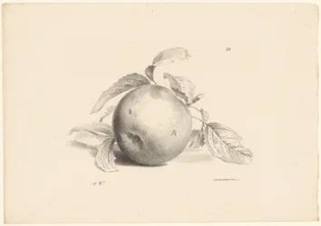 Appel
Fruta (título de la serie)