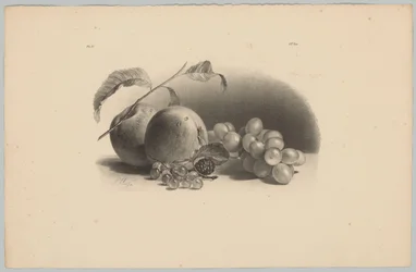 Manzanas, bayas, moras y uvas
Estudios sobre flores y frutas (...) 3ª entrega (título de la serie)