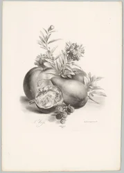 Flores, manzanas, peras, granadas y moras Estudios de flores y frutas (...) Décimo episodio (título de la serie)